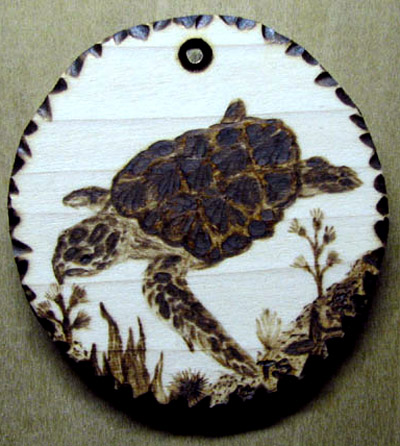 caretta pyrography tanja sova